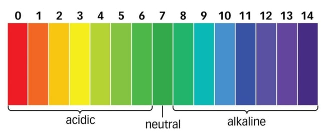 ph-scale_orig ph-scale_orig